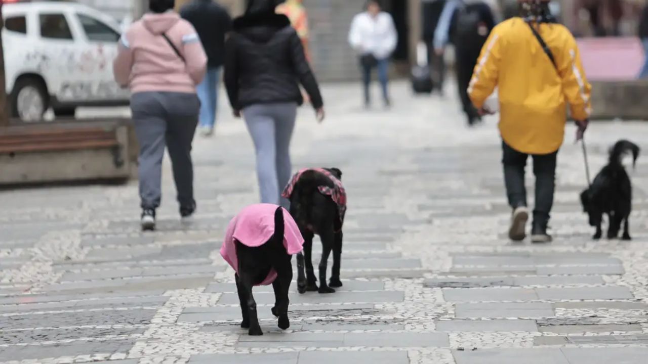 A massa de ar polar mantém as temperaturas baixas no Sul e influencia também áreas do Sudeste nesta quinta-feira (17). As serras gaúcha e catarinense têm risco de geada, enquanto São Paulo pode registrar máxima de apenas 17°C.