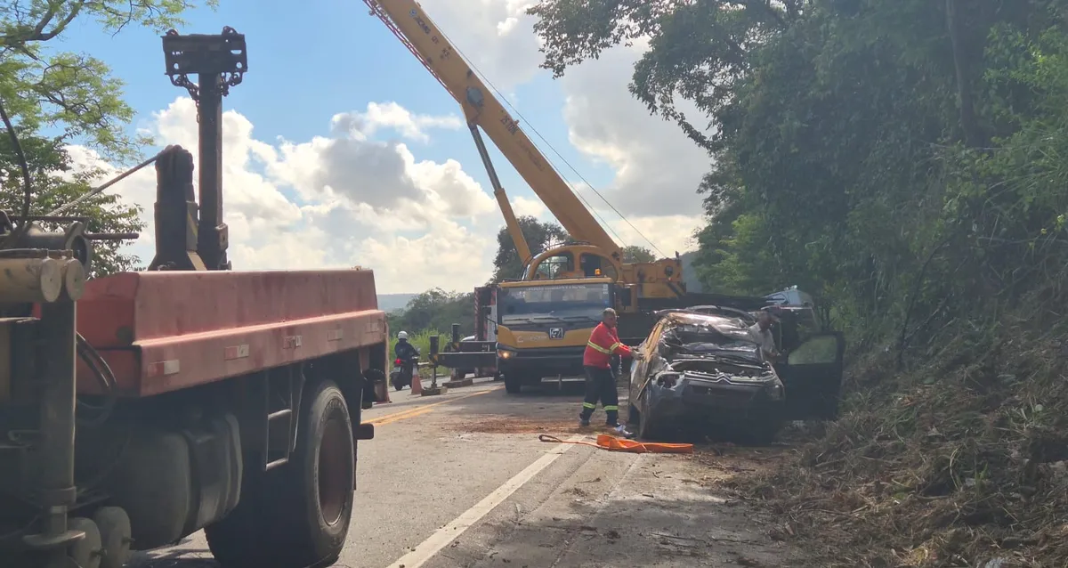 Cegonha sai da pista e tomba com 11 carros na BR-316.