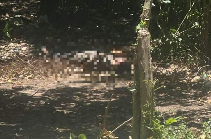 Um corpo com sinais de violência foi localizado nesta sexta-feira (9), na Grota da Amizade, no bairro do Barro Duro, na parte alta de Maceió.