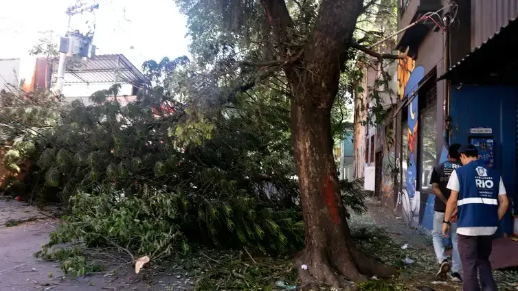 Estragos provocados pelos fortes ventos que atingiram a cidade na tarde desta quarta-feira (29).  