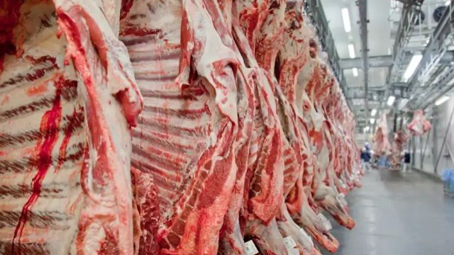 União Europeia suspende carnes e mel do Brasil  A partir desta quinta-feira (3), começa a valer a suspensão das importações de carne bovina, aves e mel brasileiros pela União Europeia.