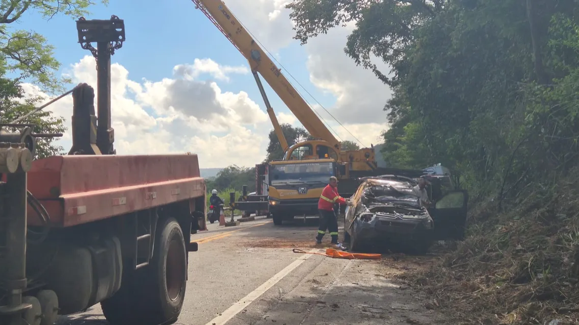Cegonha sai da pista e tomba com 11 carros na BR-316. 