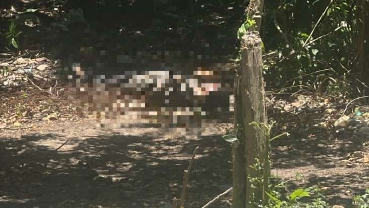 Um corpo com sinais de violência foi localizado nesta sexta-feira (9), na Grota da Amizade, no bairro do Barro Duro, na parte alta de Maceió.